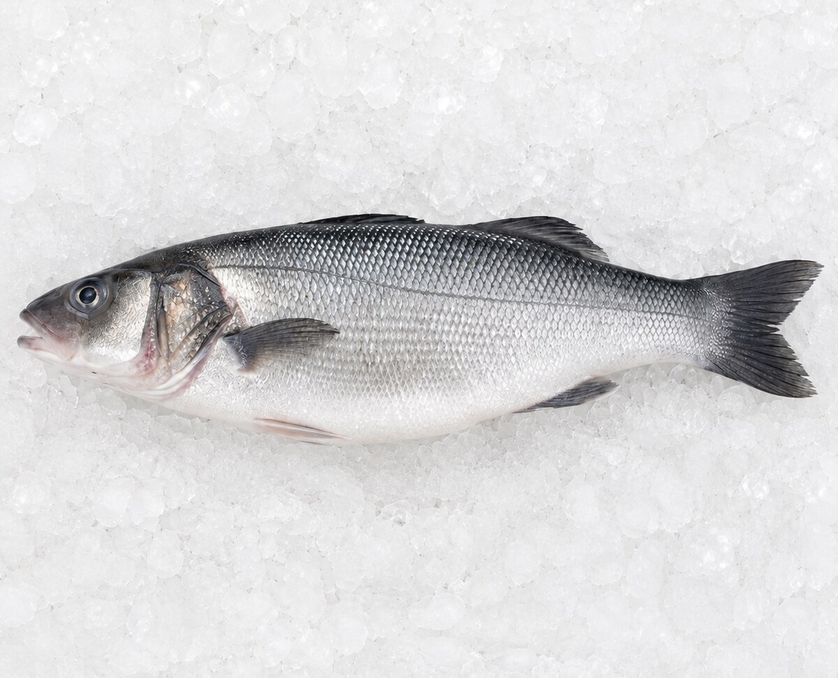 Whole fresh sea bass available for delivery in Dubai